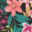 hawaiian-flowers-swatch