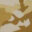 ps-camo-swatch